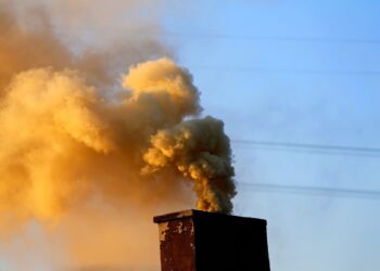 Borowa: Apelujemy do naszych mieszkańców…