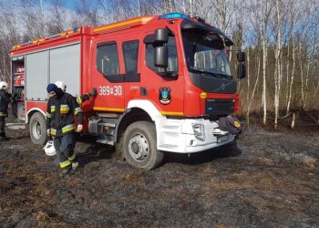 Baranów Sandomierski: Mieszkańcy Dymitrowa Małego nie chcą u siebie chlewni