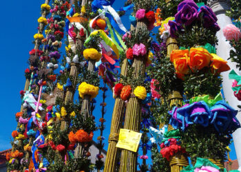 Mielec: Najpiękniejsza – bo tradycyjna Palma Wielkanocna.