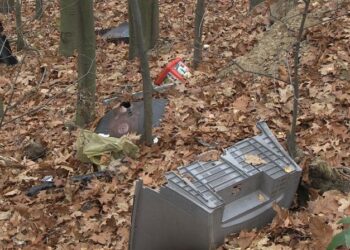 Padew Narodowa: Apel do mieszkańców.