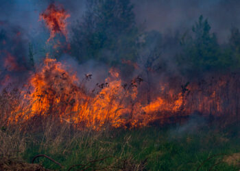 Stalowa Wola: Pracowity weekend strażaków