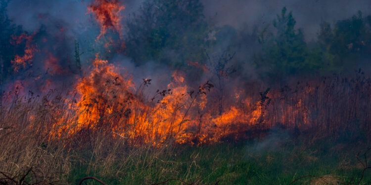 Stalowa Wola: Pracowity weekend strażaków
