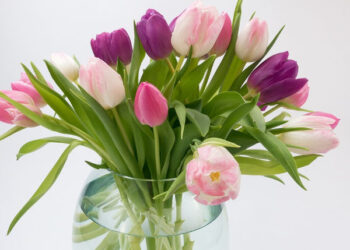 Mielec: Dziś kobiety obchodzą swoje święto.