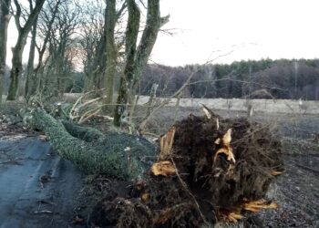 Mielec: Wiatr dał się we znaki!