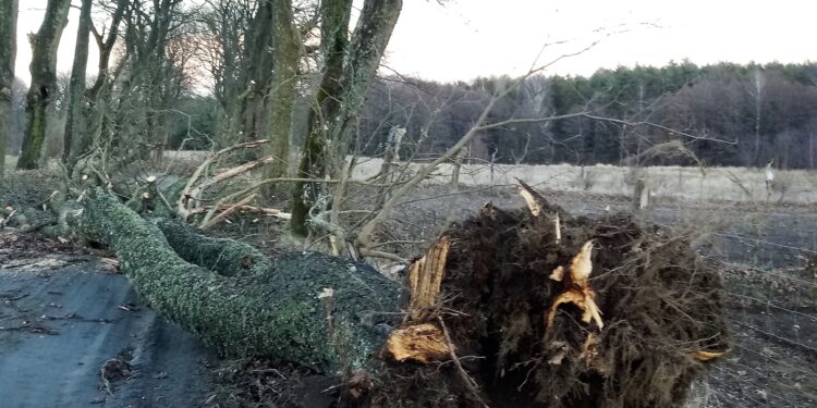 Mielec: Wiatr dał się we znaki!