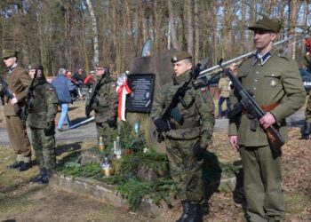Mielec: Kolejne dęby będą miały swoje imię…