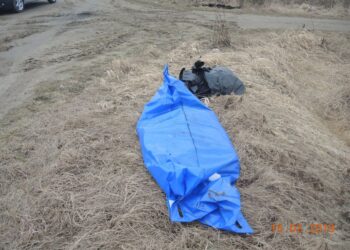 Padew Narodowa: Wyrzucają do przydrożnych rowów.