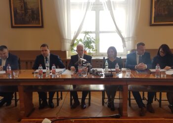 Tarnobrzeg. Raport otwarcia, diagnoza miasta.