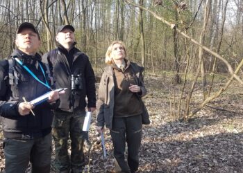 Tarnobrzeg. W terenie pracowała komisja do spraw ustanowienia pomników przyrody.