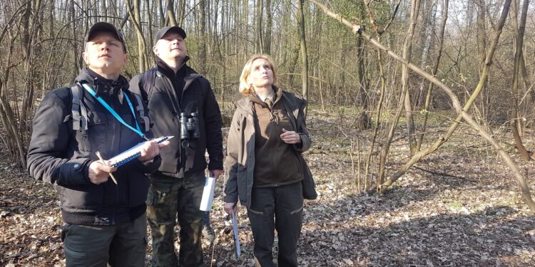 Tarnobrzeg. W terenie pracowała komisja do spraw ustanowienia pomników przyrody.