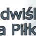 Tarnobrzeg. Trzecia edycja Nadwiślańskiej Ligi Piłkarskiej.