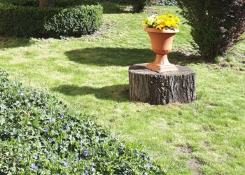 Sandomierz: 50 tysięcy złotych na doprowadzenie wody do ogródków działkowych.