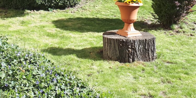 Sandomierz: 50 tysięcy złotych na doprowadzenie wody do ogródków działkowych.