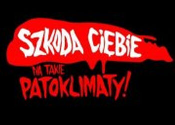 Stalowa Wola: Szkoda Ciebie na takie patoklimaty