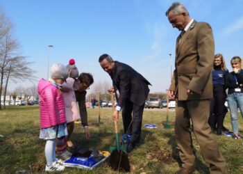 Połaniec: 40 dębów na czterdziestolecie elektrowni