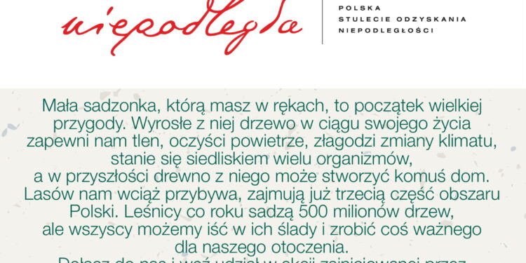 Nowa Dęba. Nadleśnictwo rozda sadzonki drzew.