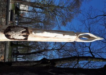 Sandomierz: Rzeźba zamiast wycinki.