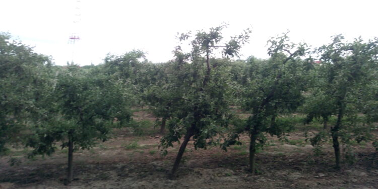 Sandomierz: Czy grozi nam susza?