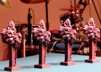 Stalowa Wola: Gałązki Sosny rozdane