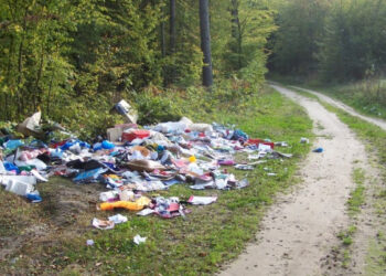 Mielec: Leśnicy walczą z nielegalnym porzucaniem śmieci.