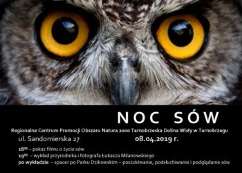 Tarnobrzeg. Noc sów.