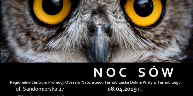 Tarnobrzeg. Noc sów.