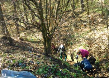 Mielec: Sprzątamy nasze lasy.
