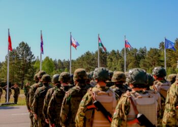 Nowa Dęba: Ćwiczenia Common Challenge-19 na poligonie