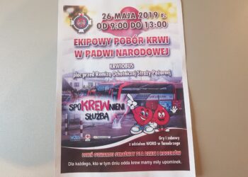 Padew Narodowa. Ekipowy pobór krwi.