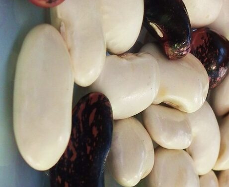 Wrzawy: Czekają na wzrost fasoli.