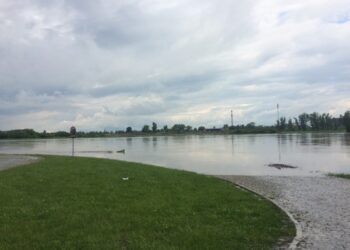 Sandomierz: Nie ma zagrożenia powodziowego w Sandomierzu.
