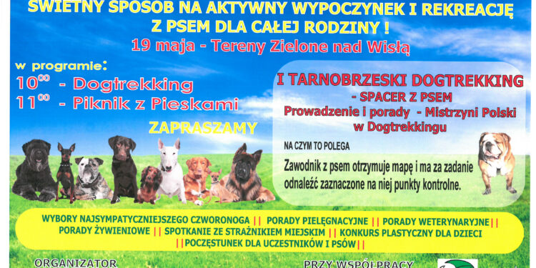 Tarnobrzeg. Impreza „Podaj Łapę”.