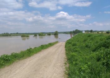 Tarnobrzeg. Obwałowania miasta dziś „zdają egzamin”.