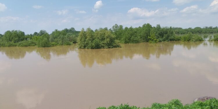 Tarnobrzeg: Przechodzi fala kulminacyjna o wysokości 724 cm