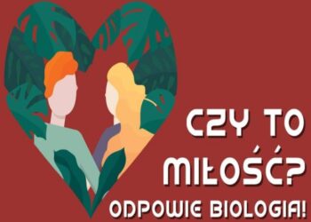 Sandomierz: „Czy to miłość?” – dziś kolejny wykład otwarty na WZ UJK.
