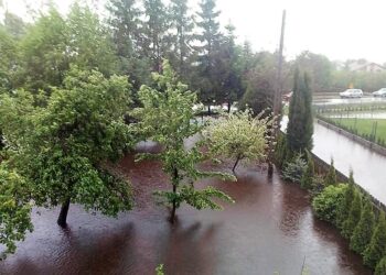 Kolbuszowa:  Woda w Nilu zaczęła opadać