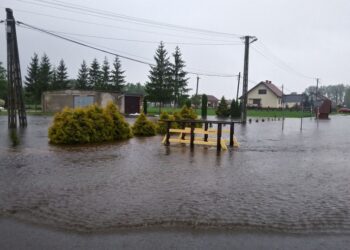 Mielec:  Straty  to już kilka milionów złotych.