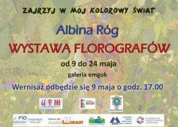 Baranów Sandomierski. Florografy na wystawie.