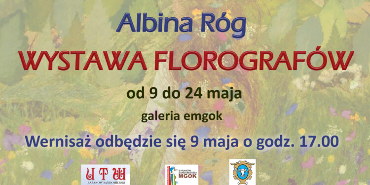 Baranów Sandomierski. Florografy na wystawie.