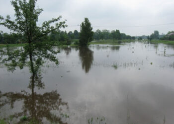 Jeżowe: Wody opadły