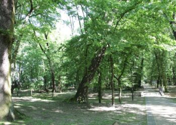 Nisko: Wybierają wykonawcę rewitalizacji niżańskiego parku