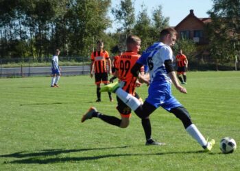 Mielec:  Rozgrywki PALP