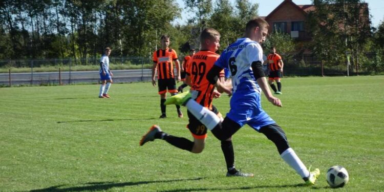 Mielec:  Rozgrywki PALP