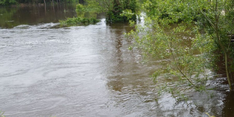 Bojanów: Trwa szacowanie strat po powodzi