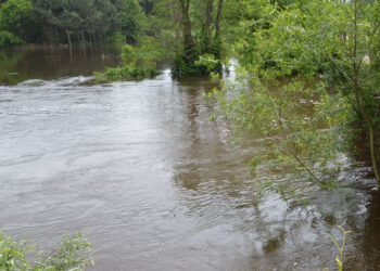 Bojanów: Obwałowania i suchy polder mogą zmniejszyć ryzyko powodziowe