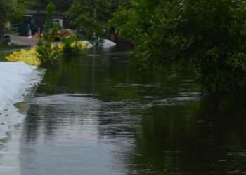 Powiat stalowowolski: Woda na Łęgu opada, San idzie w górę.