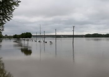 Sandomierz: Fala kulminacyjna zbliża się do miasta