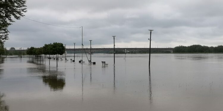 Sandomierz: Fala kulminacyjna zbliża się do miasta
