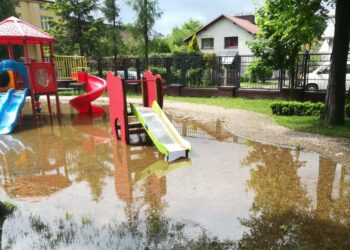 Dzikowiec: Ucierpieli najbardziej.