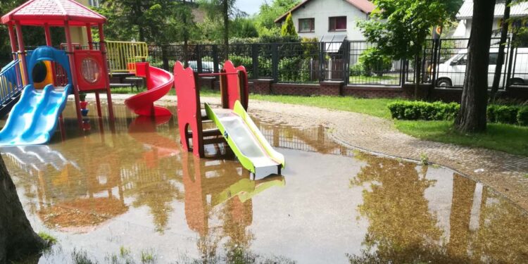 Dzikowiec: Ucierpieli najbardziej.